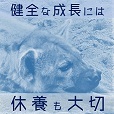 休養も大切.jpg