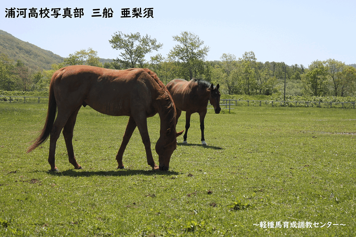 日高教育局トップページ.gif