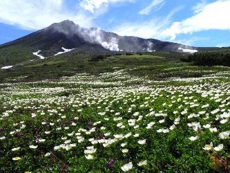 daisetsuzan.jpg