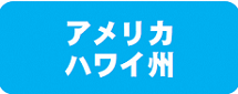 ハワイバナー.png
