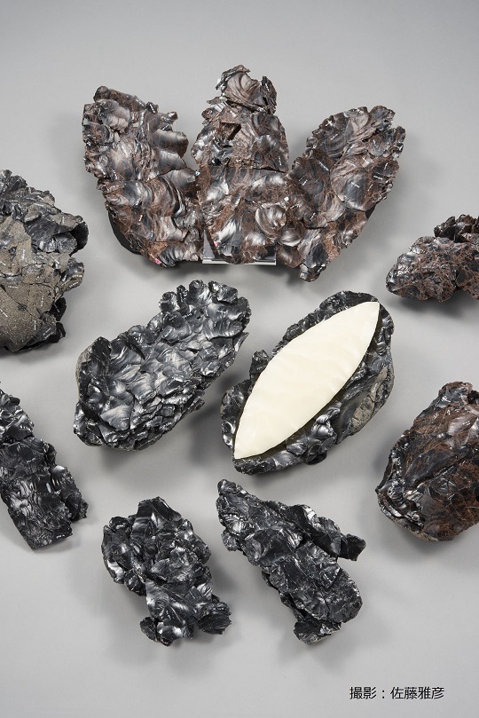 北海道の国宝 - 教育庁生涯学習推進局文化財・博物館課