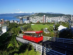 NZ景色 (ウェリントン市内).jpg