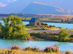 NZ景色 (テカポ湖).jpg